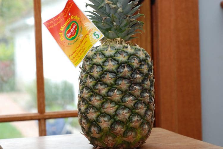 Aldi Haul My Best Finds This Week